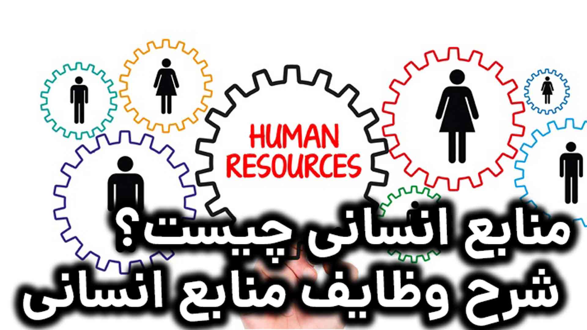 منابع انسانی چیست؟ شرح وظایف منابع انسانی